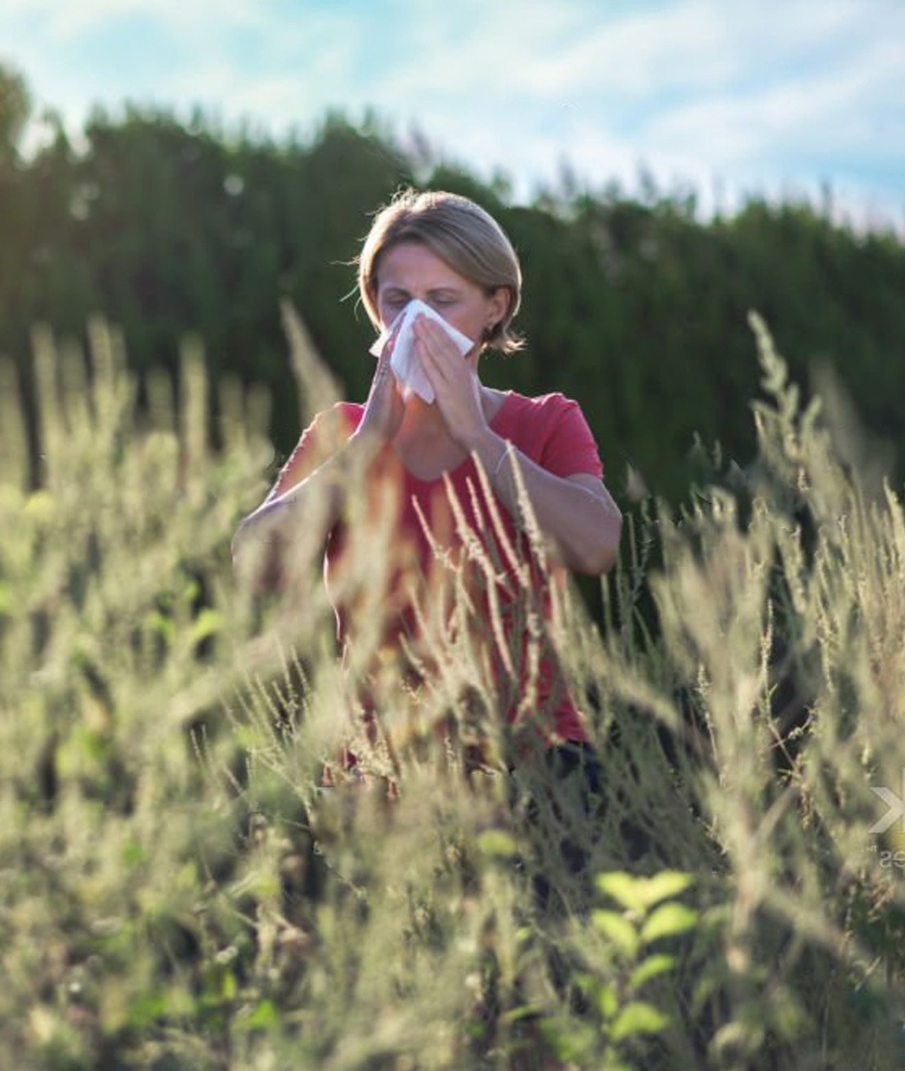 allergie allergiebehandeling oudenaarde